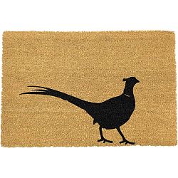 Rohožka Artsy Doormats Pheasant, 90 x 60 cm