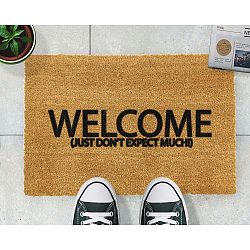 Rohožka Artsy Doormats Welcome Don't Expect Much, 40 x 60 cm