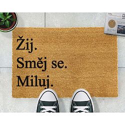 Rohožka Artsy Doormats Žij a miluj, 40 x 60 cm