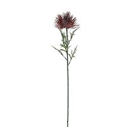 Umělá květina červená Protea Ego dekor, výška 71 cm