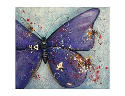 Obraz - Křídla motýlí