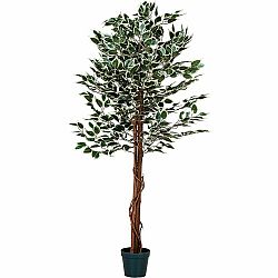 PLANTASIA 27406 Umělý strom rostlina - fíkus - 160 cm