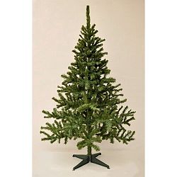 Vánoční stromek Smrk kanadský, 180 cm 