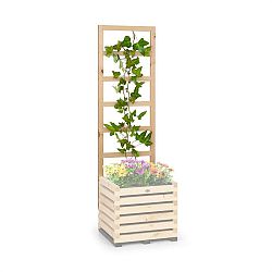 Blum Modu Grow 50 UP, mřížka na rostliny, 151 x 50 x 3 cm, borovice