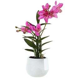 Rostlina Umělá Japonská Orchidej