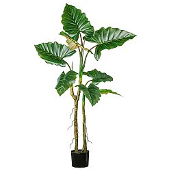 Umělá Rostlina Colocasia, V: 140cm