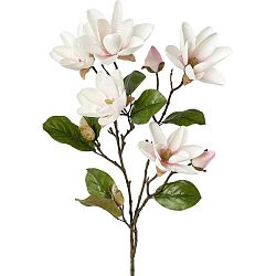 Umělá Rostlina Magnolie, V: 90cm