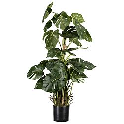 Umělá Rostlina Splitphilo, Výška: 85cm