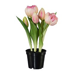 Umělá Rostlina Tulipány, V: 25cm