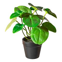 Umělá Rostlina V: 21cm