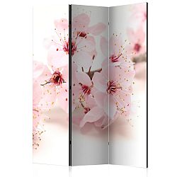Paraván Cherry Blossom Dekorhome 135x172 cm (3-dílný)