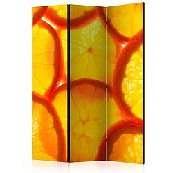 Paraván Orange slices Dekorhome 135x172 cm (3-dílný)