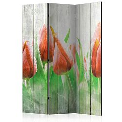 Paraván Red tulips on wood Dekorhome 135x172 cm (3-dílný)