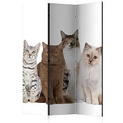 Paraván Sweet Cats Dekorhome 135x172 cm (3-dílný)