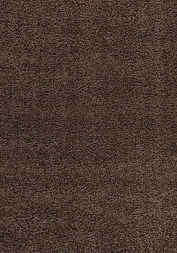 Kusový koberec Dream Shaggy 4000 brown-160x230