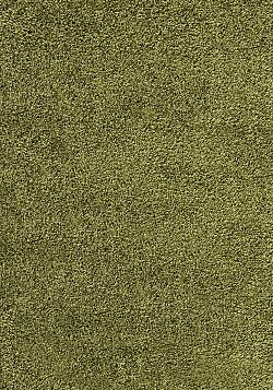 Kusový koberec Dream Shaggy 4000 green-80x150