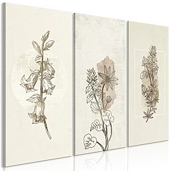 Obraz - Herbarium (3 Parts)